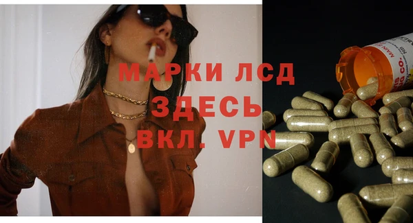 прущие грибы Дегтярск
