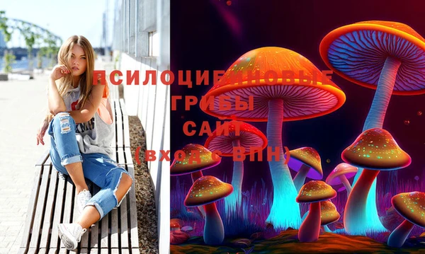 сатива Губаха