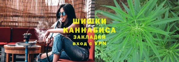 амф Грязовец