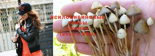 прущая мука Грязи