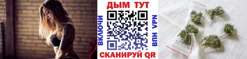Каннабис планчик  хочу   Поронайск 